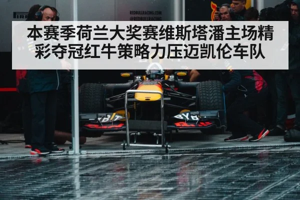 Red Bull pit stop strategy