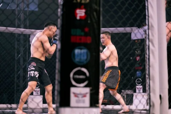 张伟丽UFC蝇量级挑战舍甫琴科冠军战深度分析与竞技状态前瞻